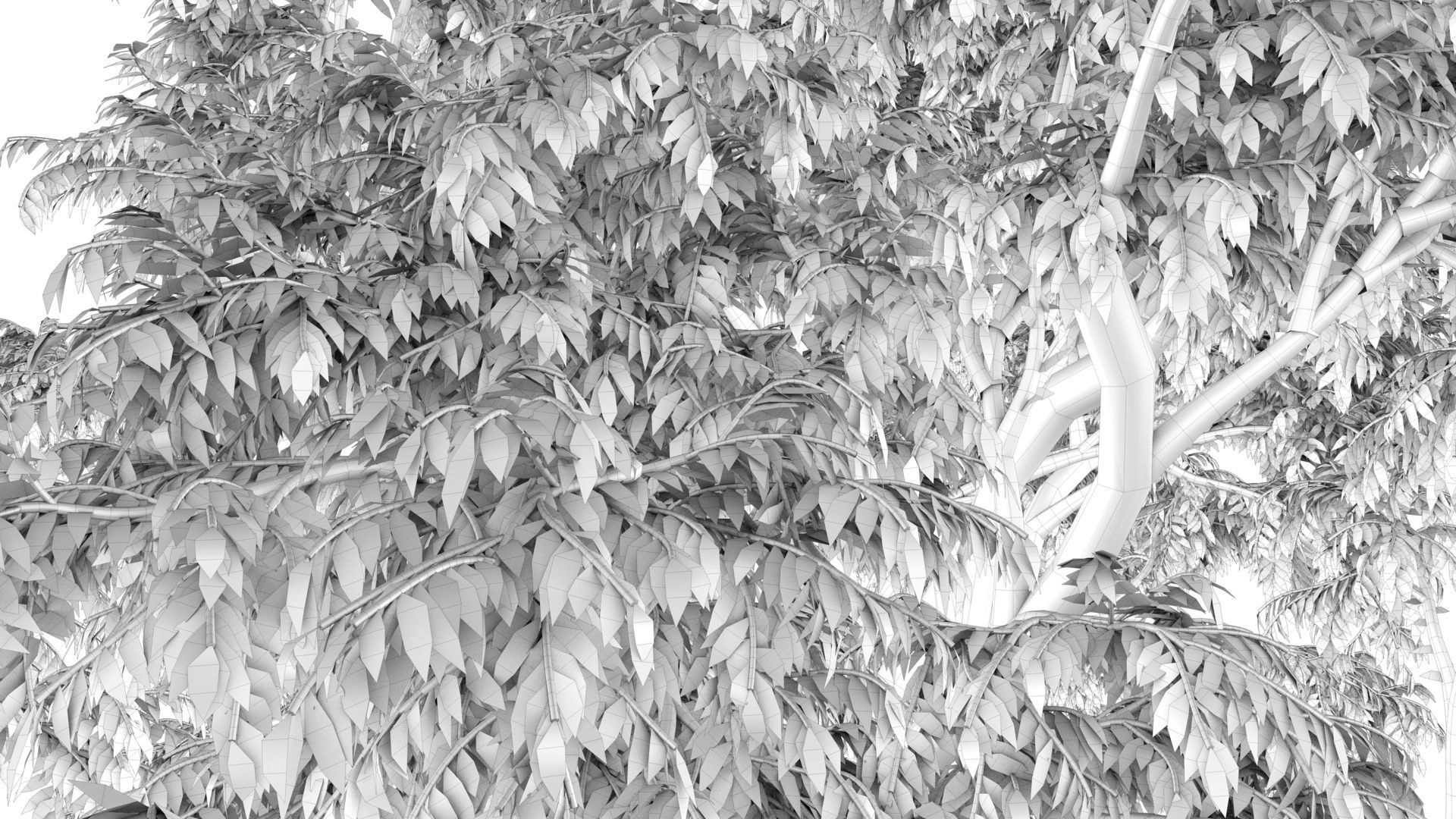 Cork tree 3D model_15