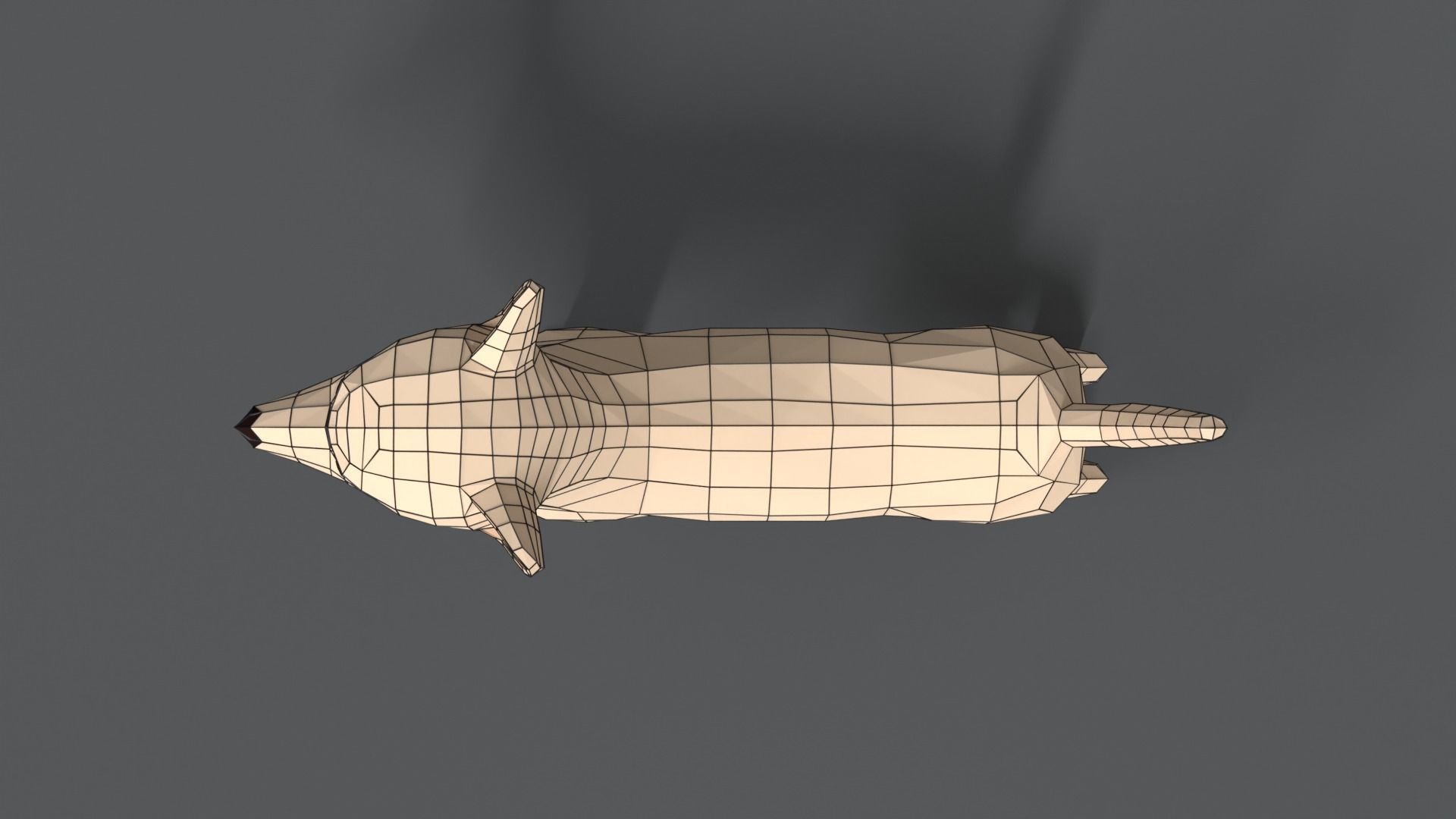 Low Poly Cartoon Chihuahua Dog Low-poly 3D model_17