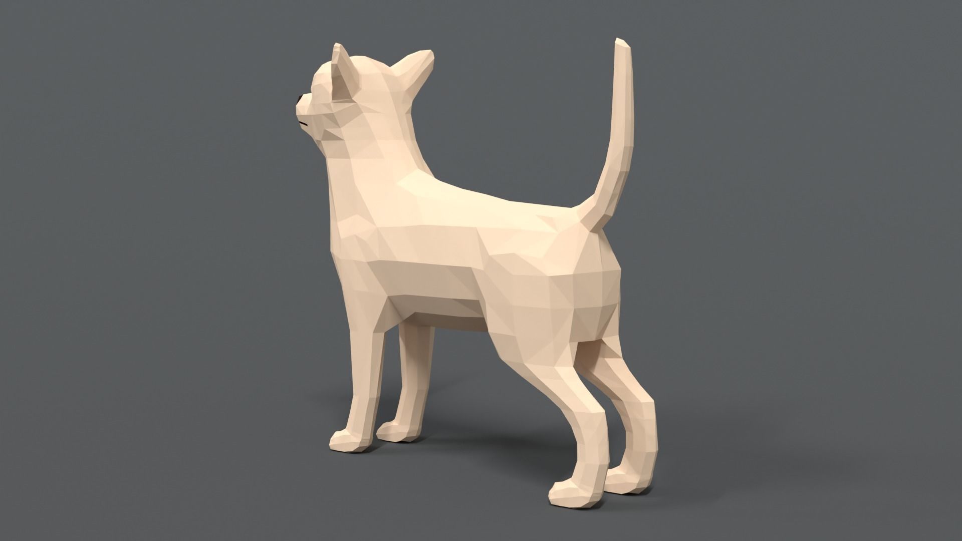 Low Poly Cartoon Chihuahua Dog Low-poly 3D model_2
