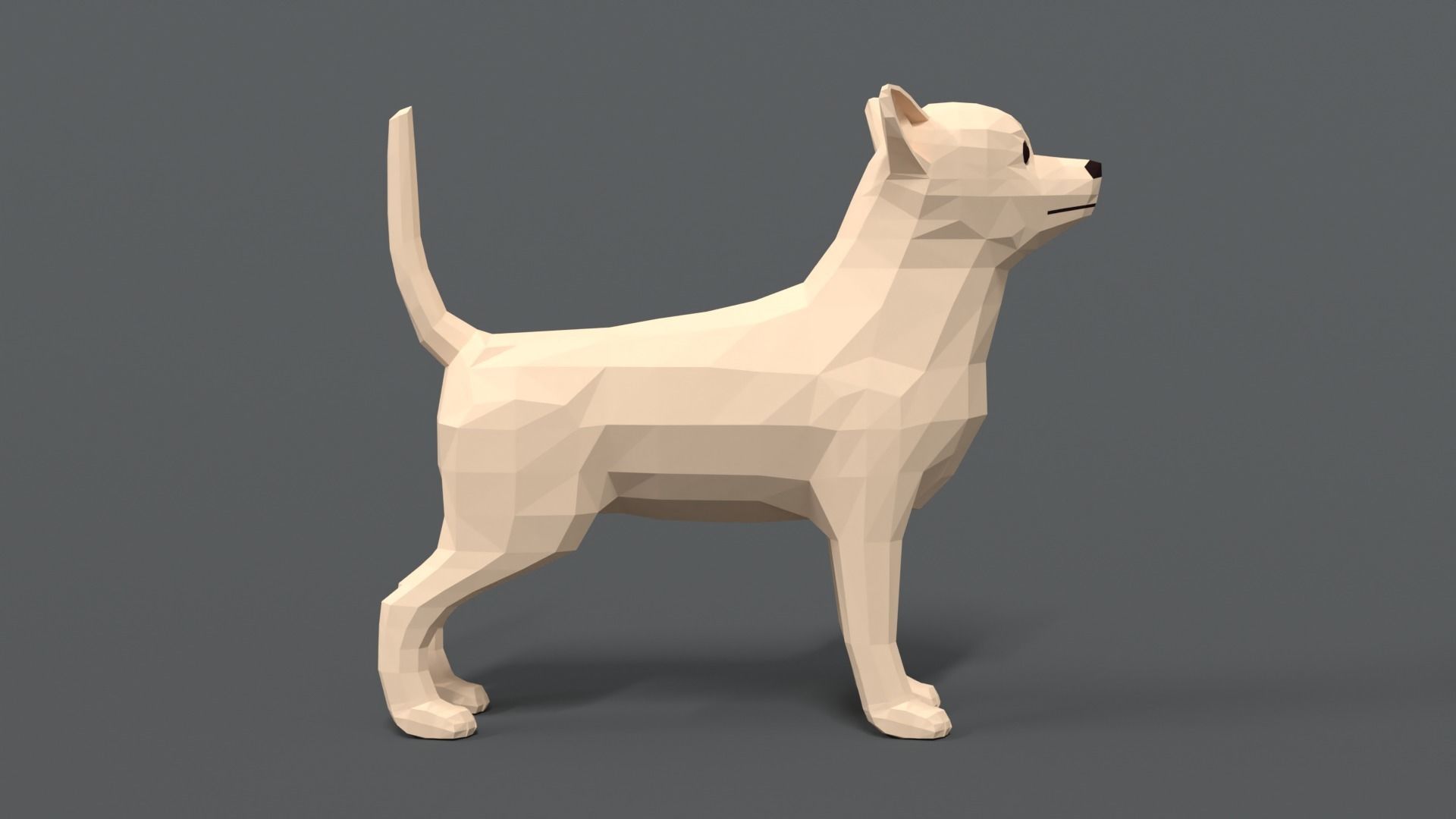 Low Poly Cartoon Chihuahua Dog Low-poly 3D model_5