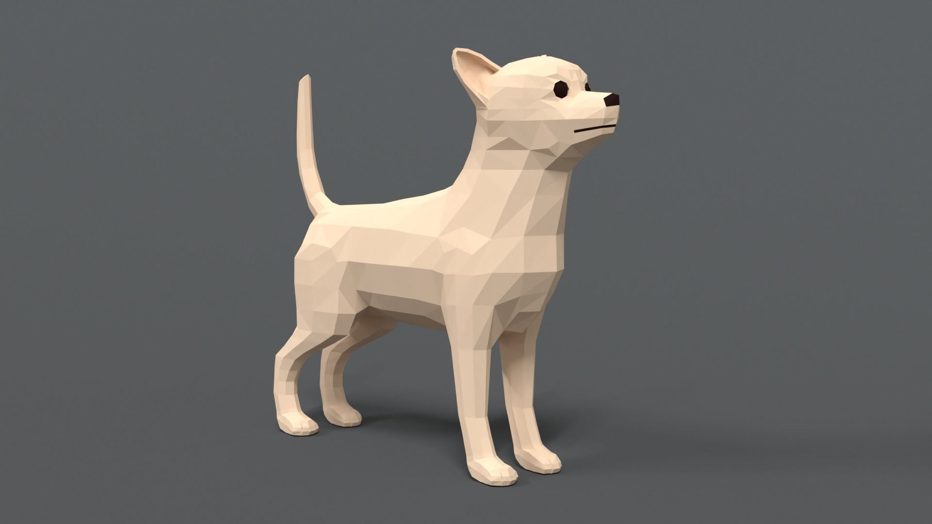 Low Poly Cartoon Chihuahua Dog Low-poly 3D model_6