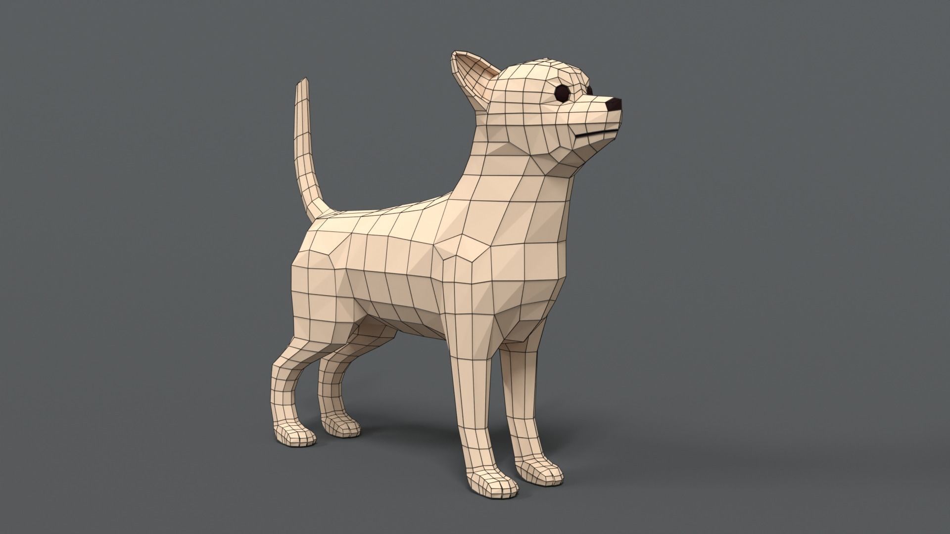 Low Poly Cartoon Chihuahua Dog Low-poly 3D model_15