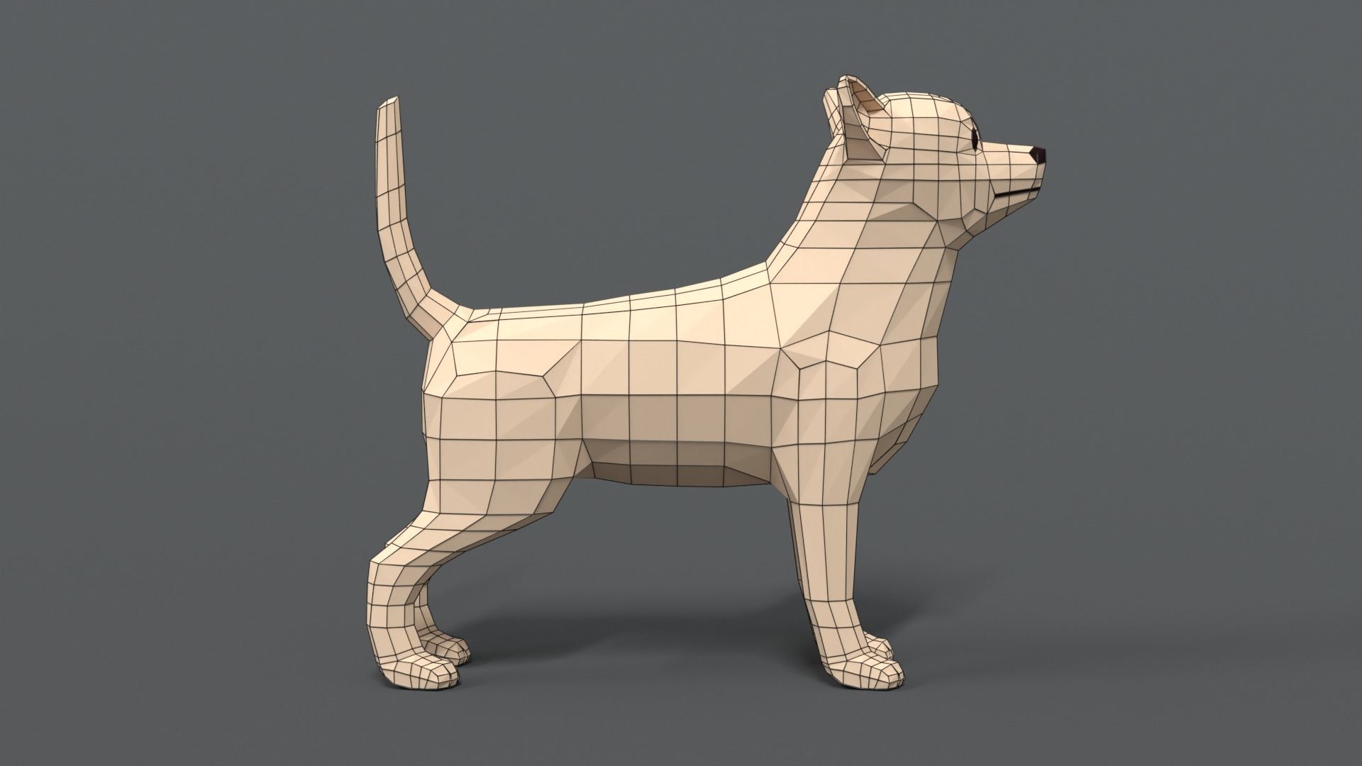 Low Poly Cartoon Chihuahua Dog Low-poly 3D model_14