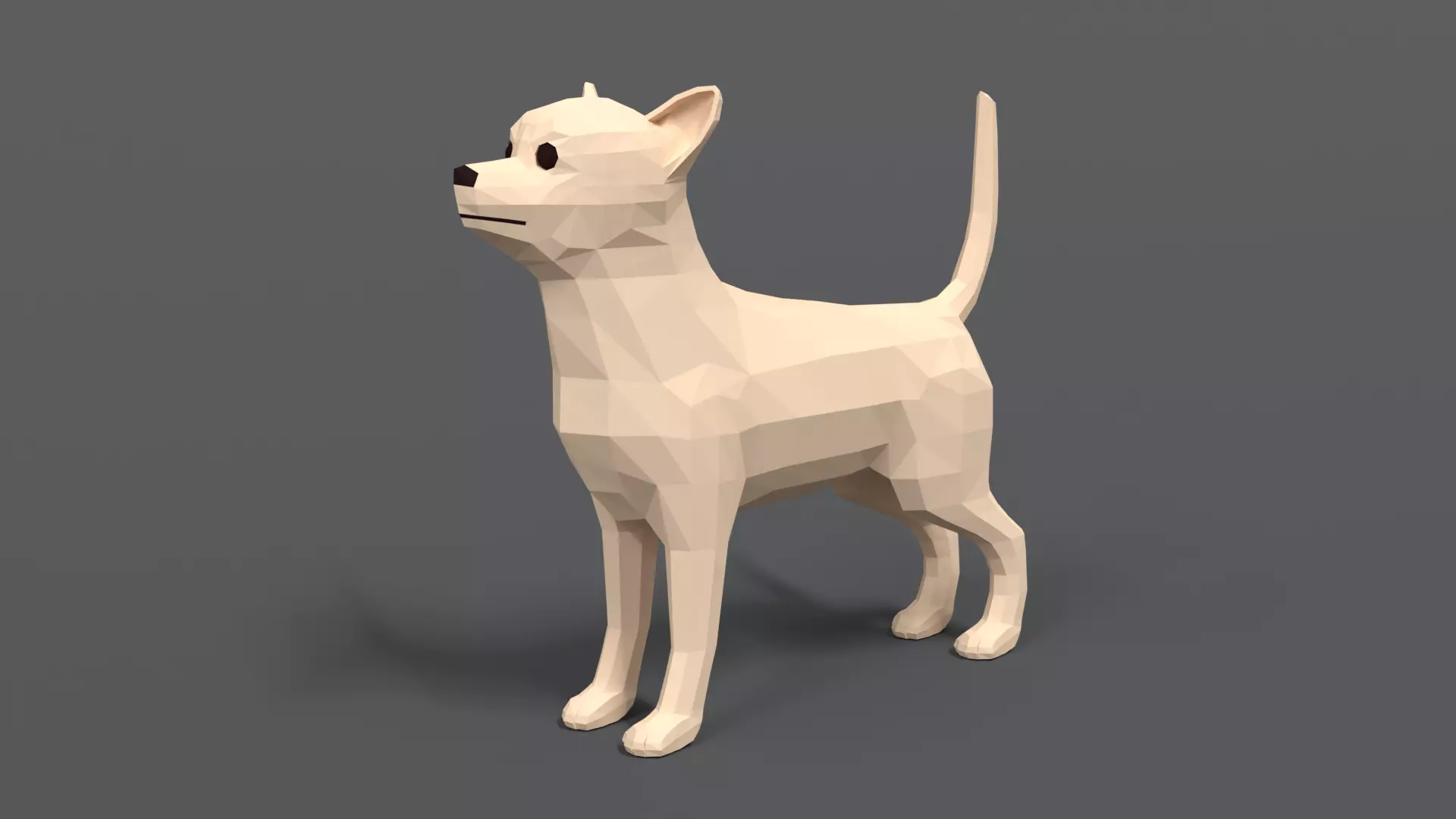 Low Poly Cartoon Chihuahua Dog Low-poly 3D model_0