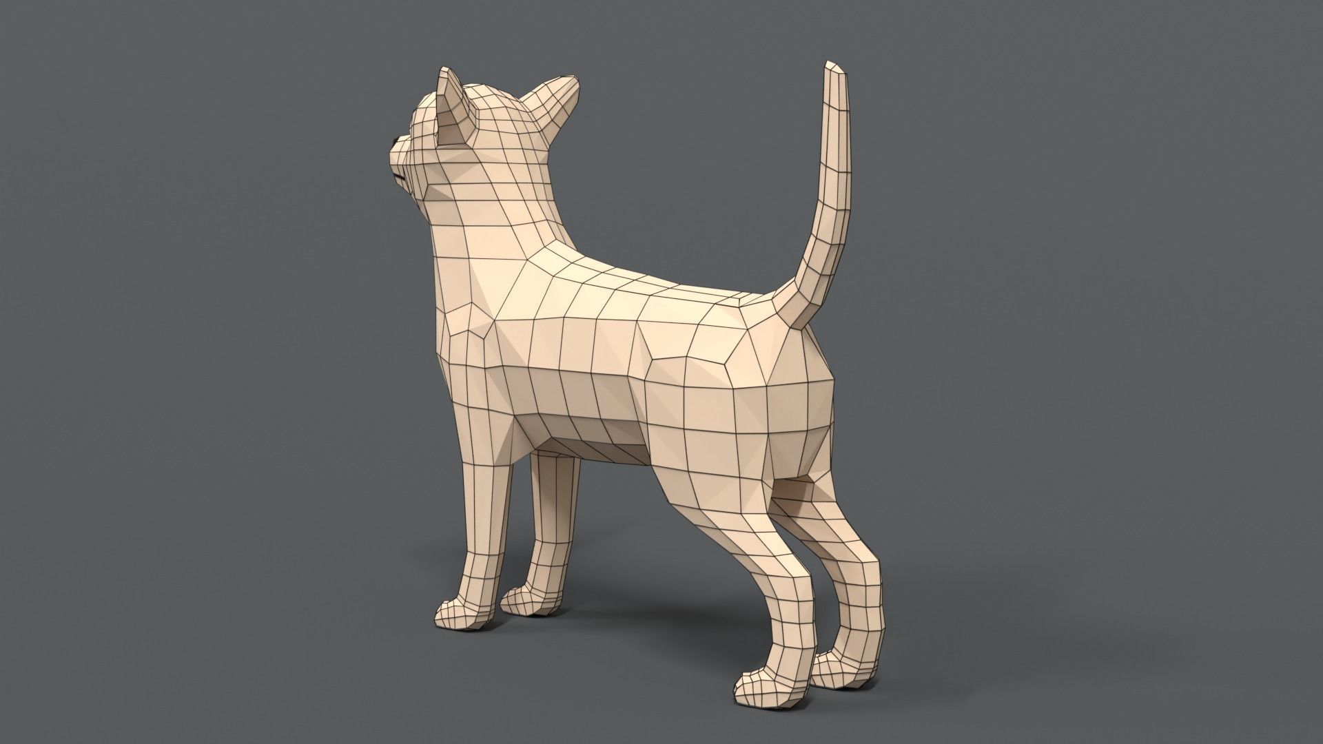 Low Poly Cartoon Chihuahua Dog Low-poly 3D model_11