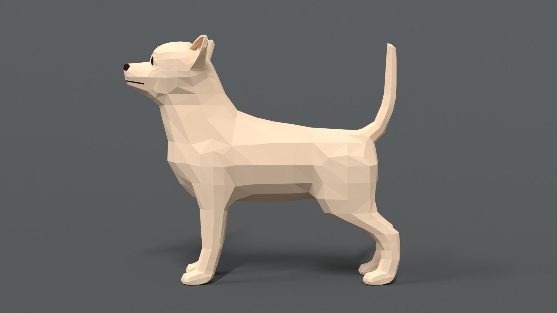 Low Poly Cartoon Chihuahua Dog Low-poly 3D model_1