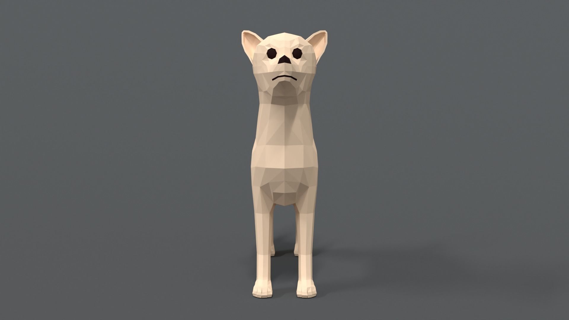 Low Poly Cartoon Chihuahua Dog Low-poly 3D model_7