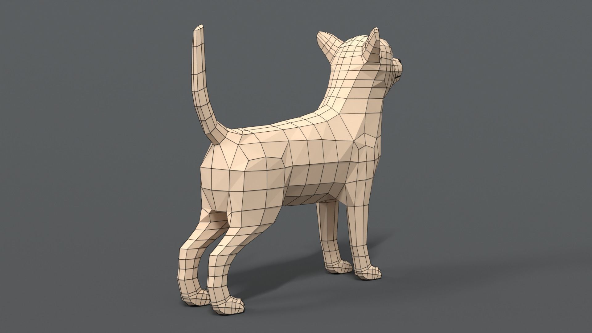 Low Poly Cartoon Chihuahua Dog Low-poly 3D model_13