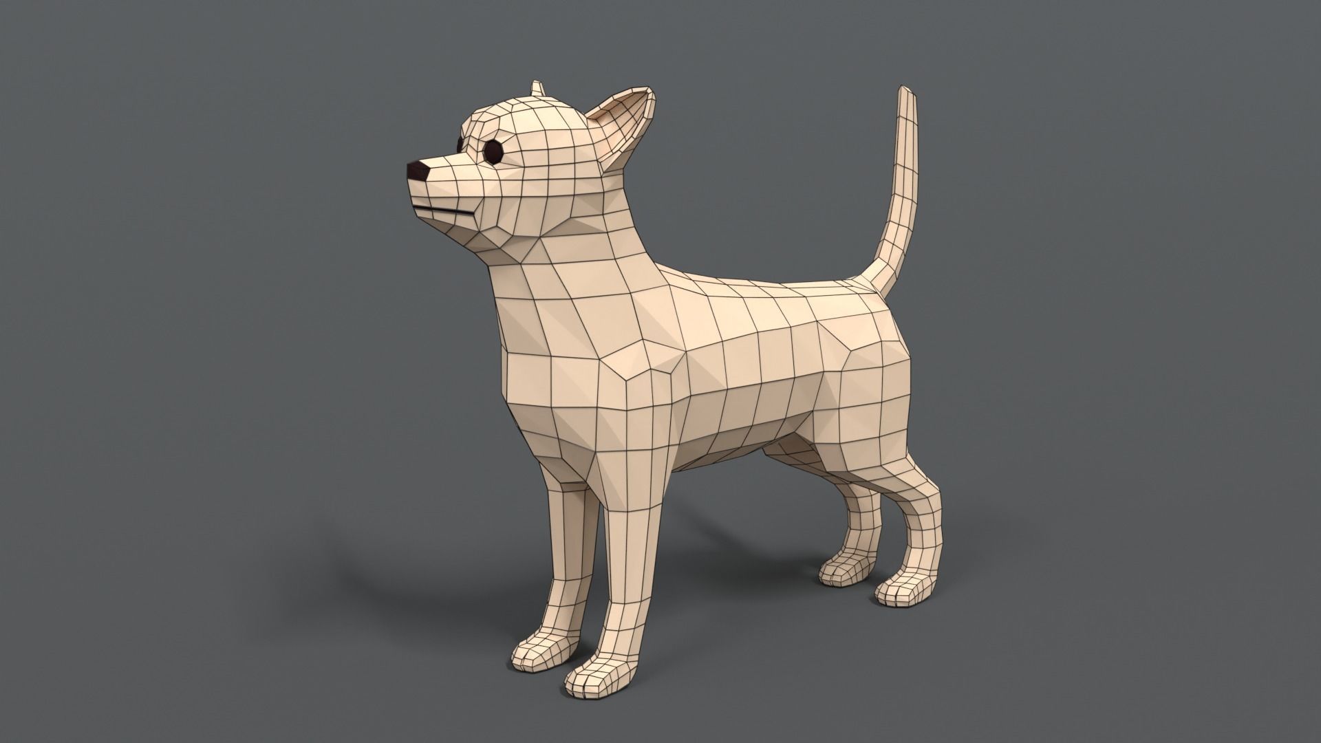 Low Poly Cartoon Chihuahua Dog Low-poly 3D model_9