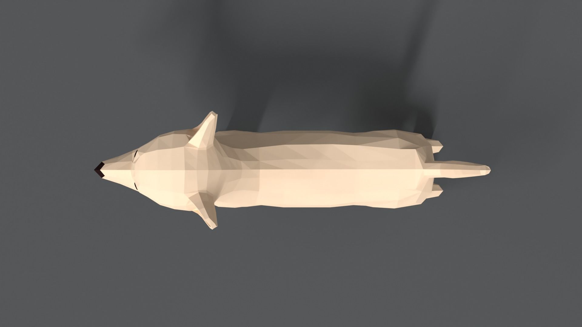 Low Poly Cartoon Chihuahua Dog Low-poly 3D model_8