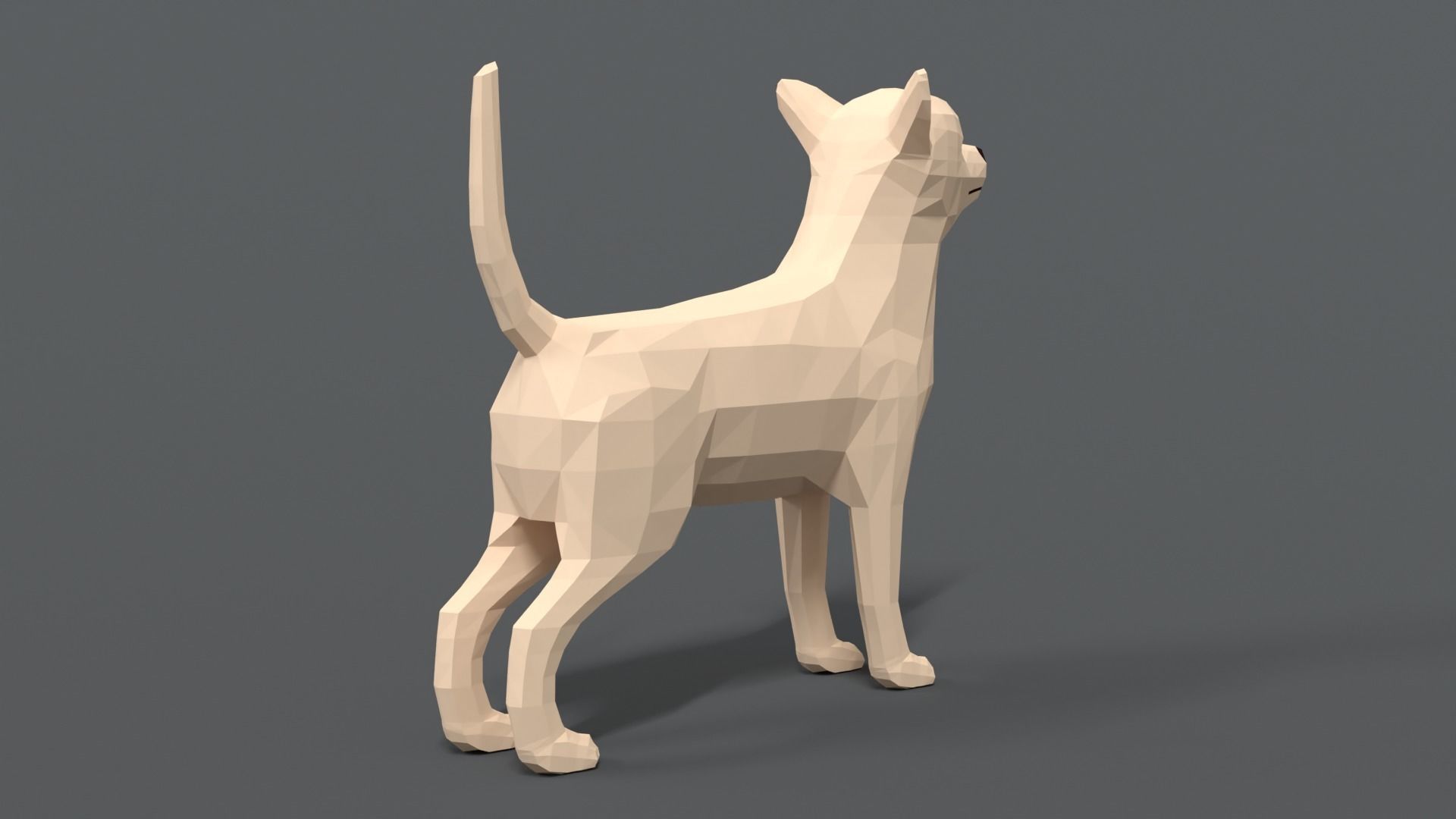 Low Poly Cartoon Chihuahua Dog Low-poly 3D model_4