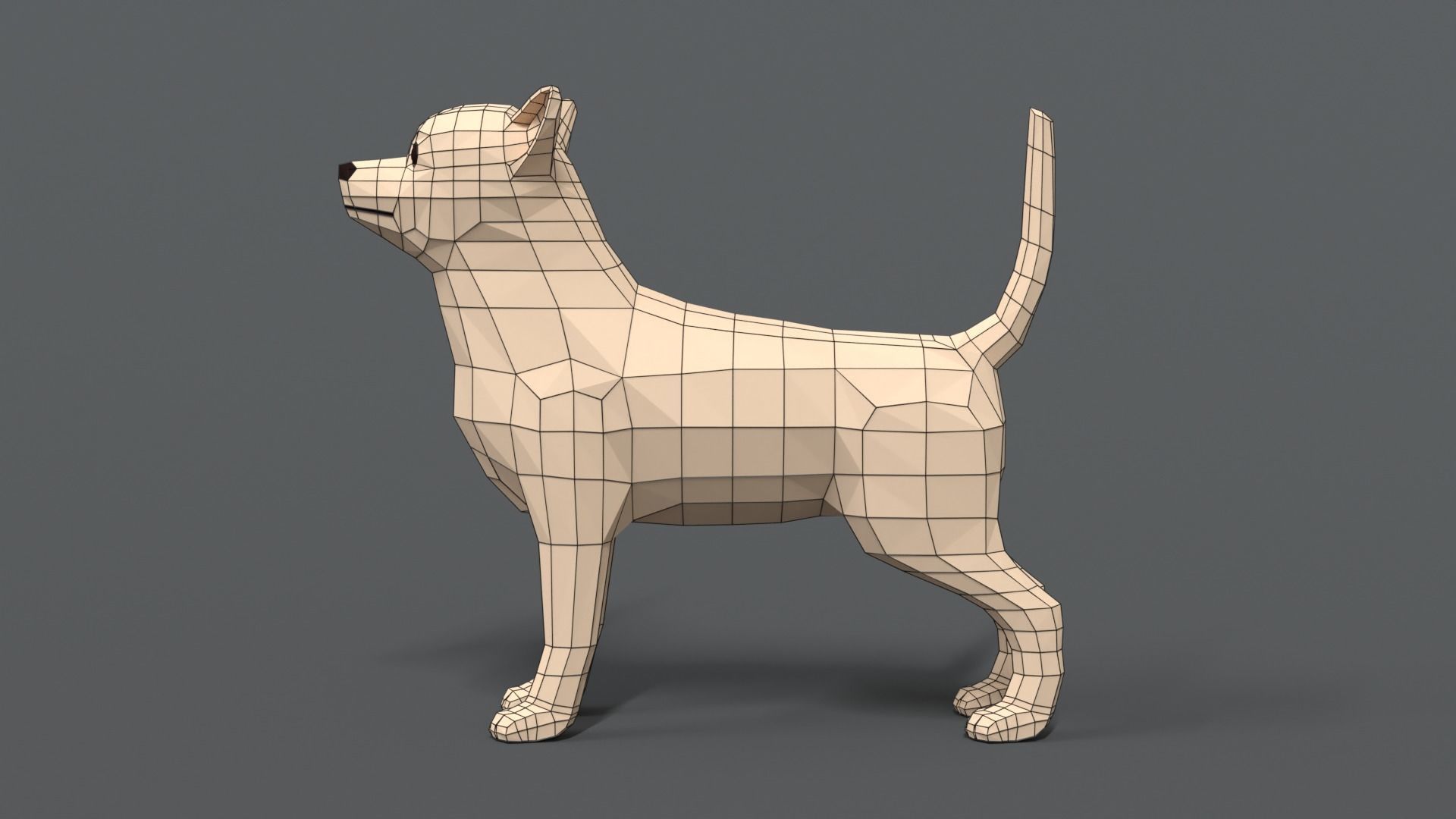 Low Poly Cartoon Chihuahua Dog Low-poly 3D model_10