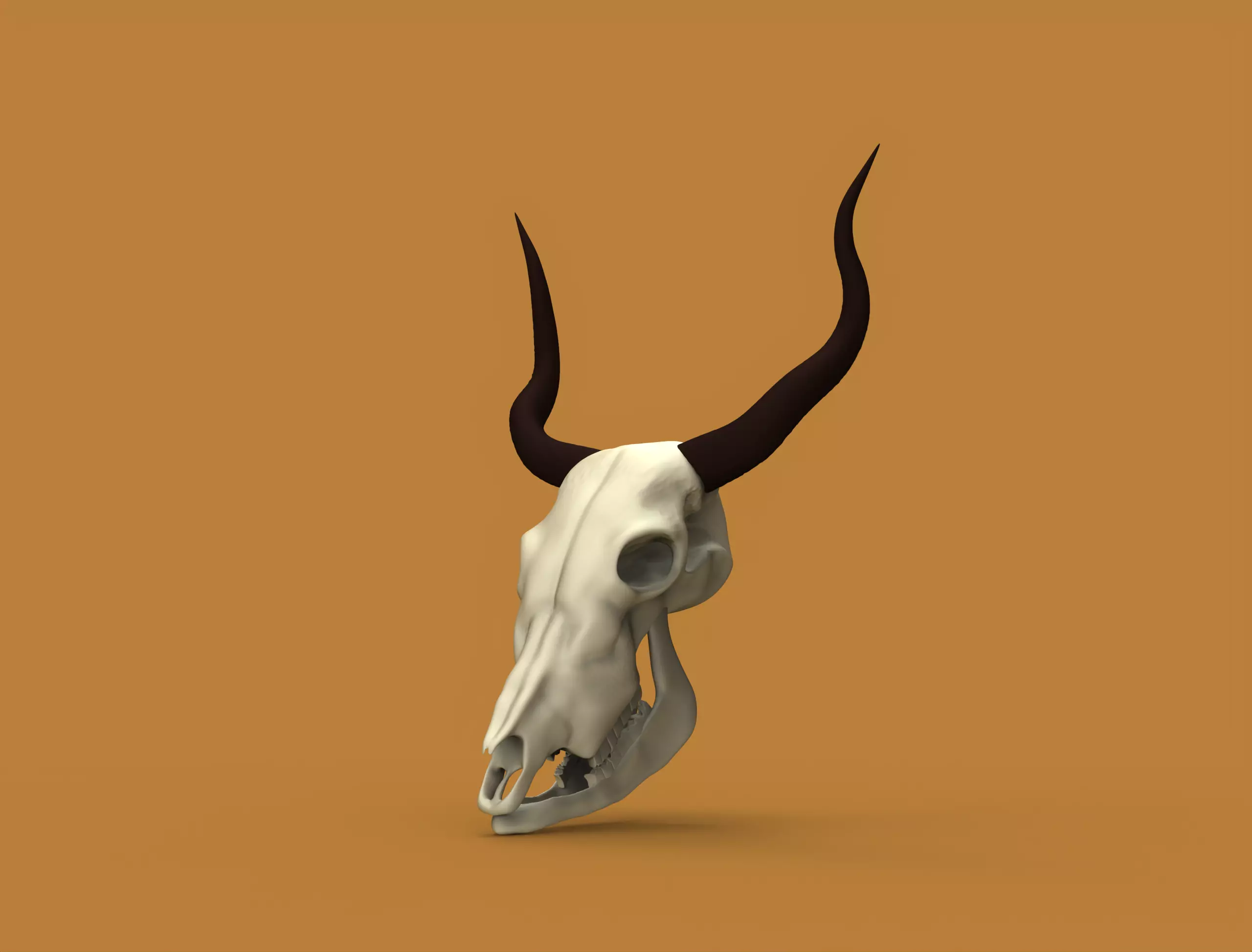 Bull head Low-poly 3D model_0