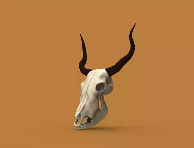 Bull head