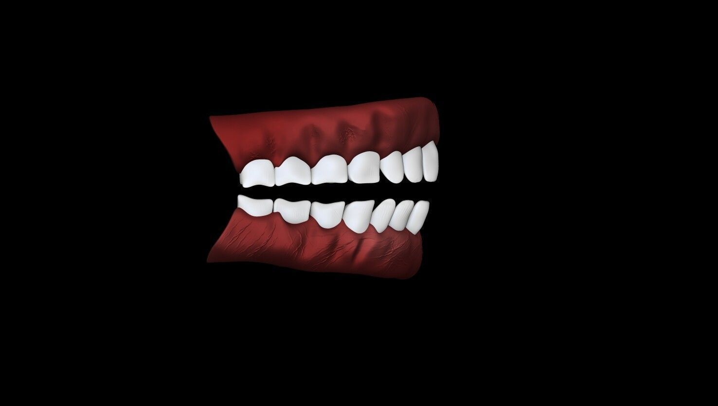 Human Teeth  Low-poly 3D model_1