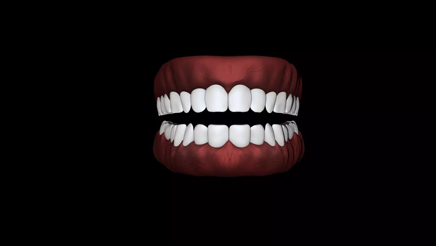 Human Teeth  Low-poly 3D model_0