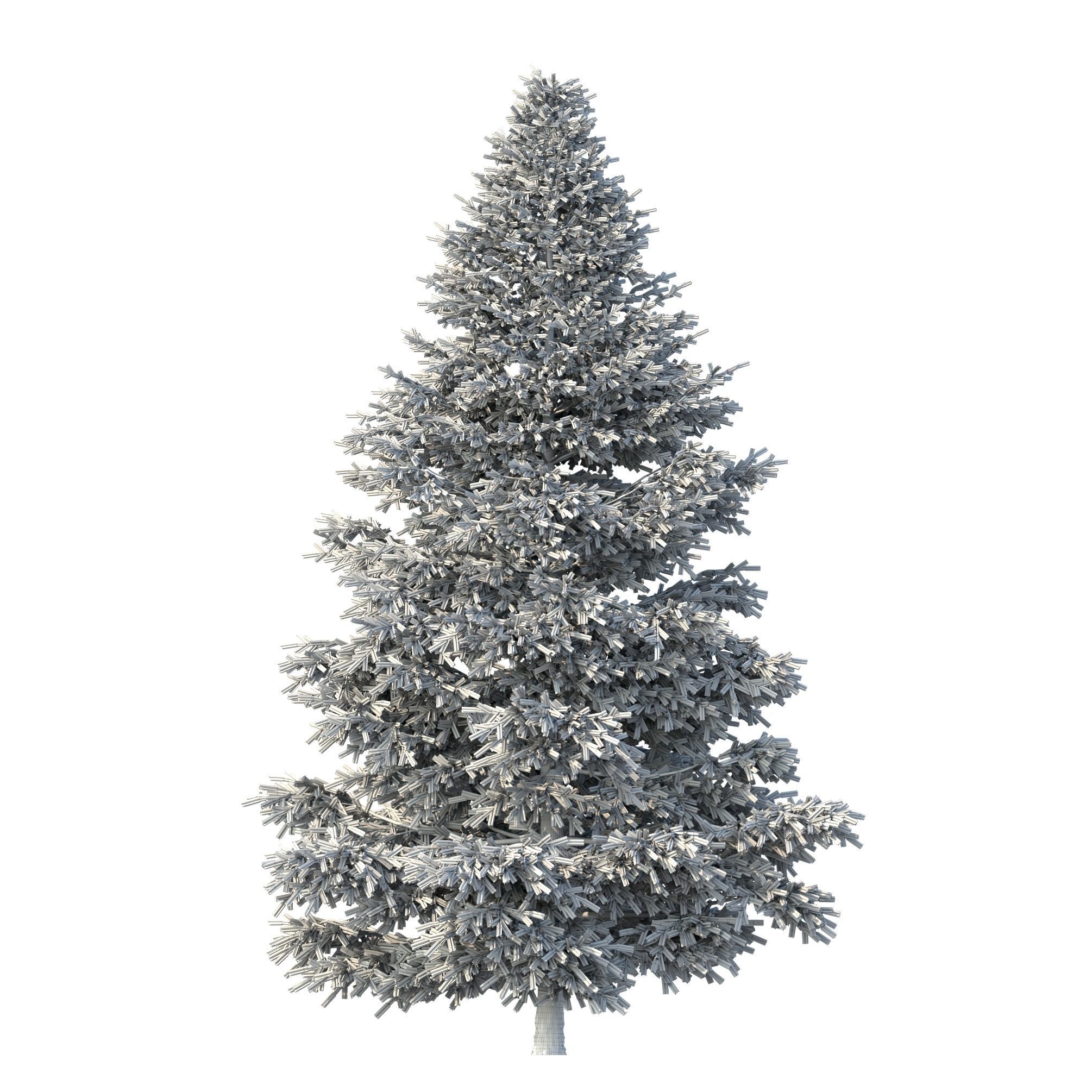 Picea Rubens No 1 3D model_9
