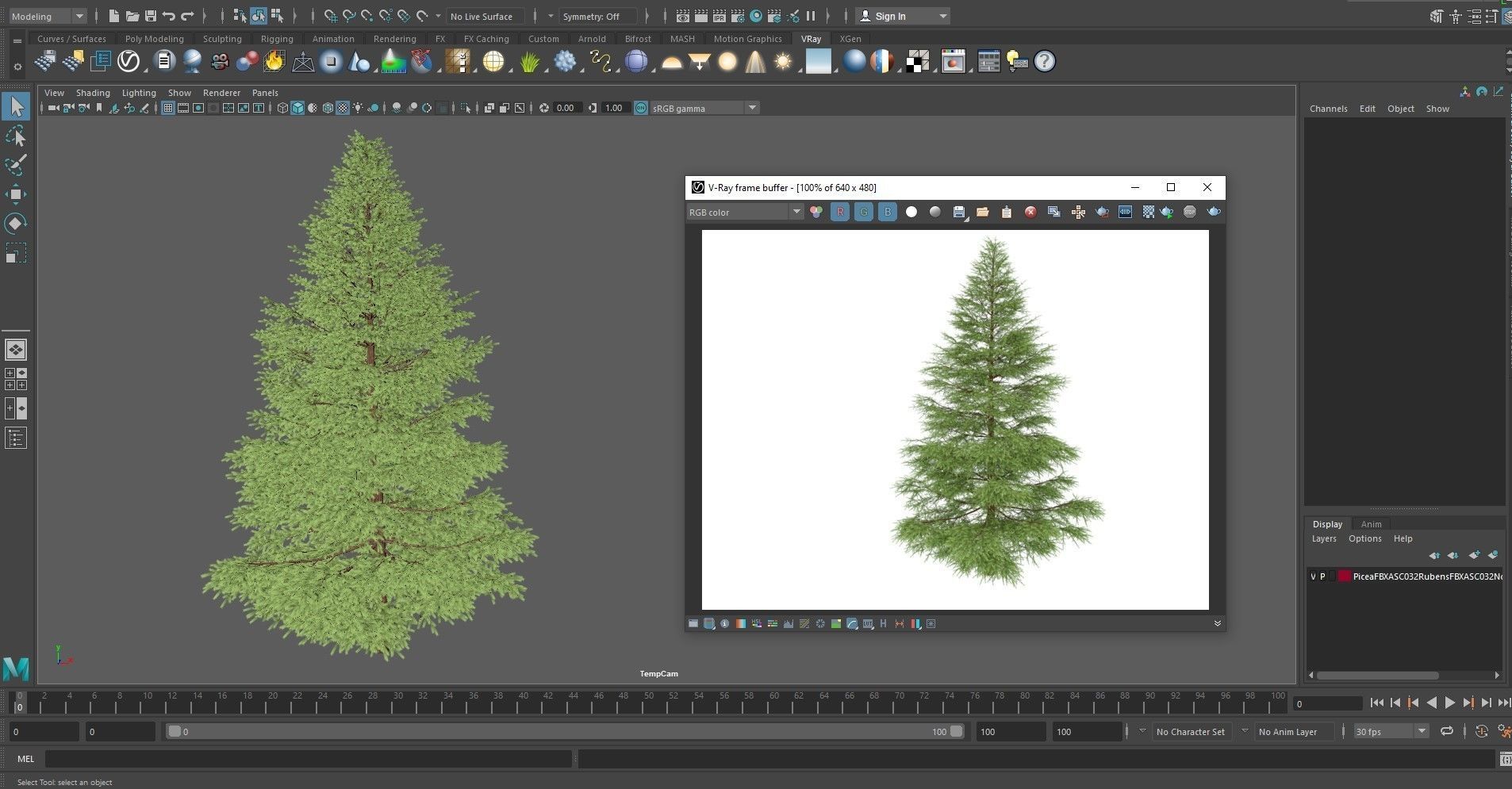 Picea Rubens No 1 3D model_16