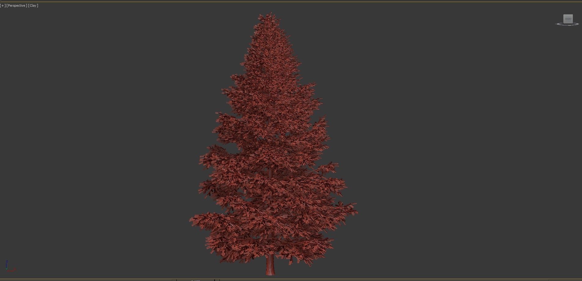 Picea Rubens No 1 3D model_10