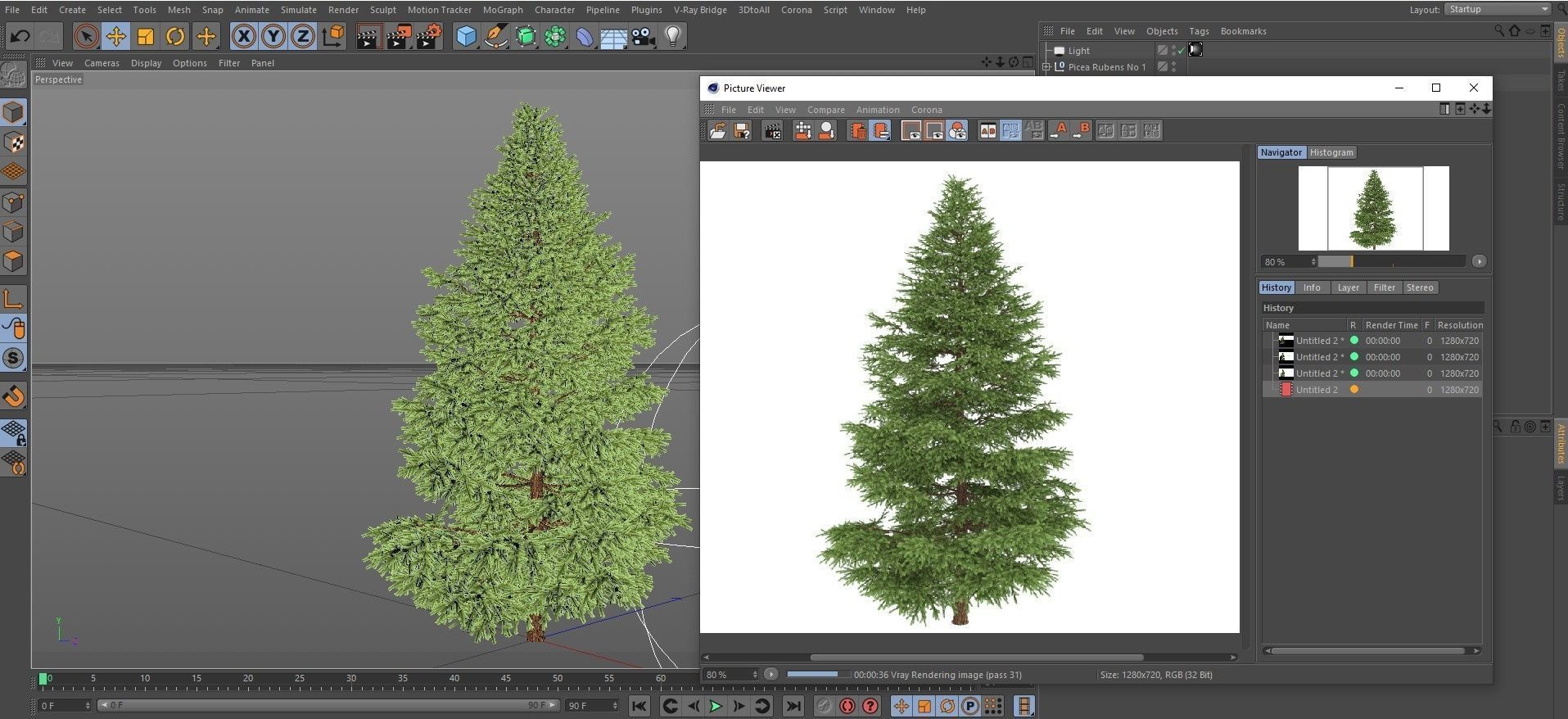 Picea Rubens No 1 3D model_15