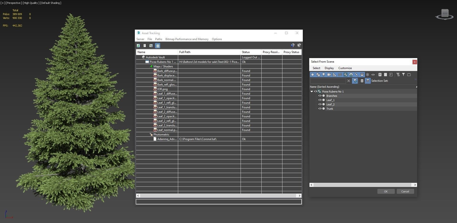 Picea Rubens No 1 3D model_12