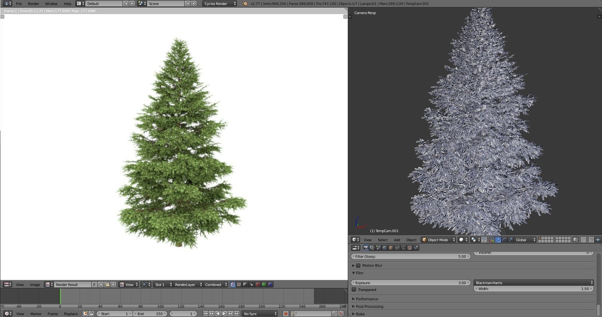 Picea Rubens No 1 3D model_14