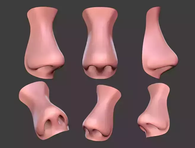 Human Female Nose Subdivision Ready for Film