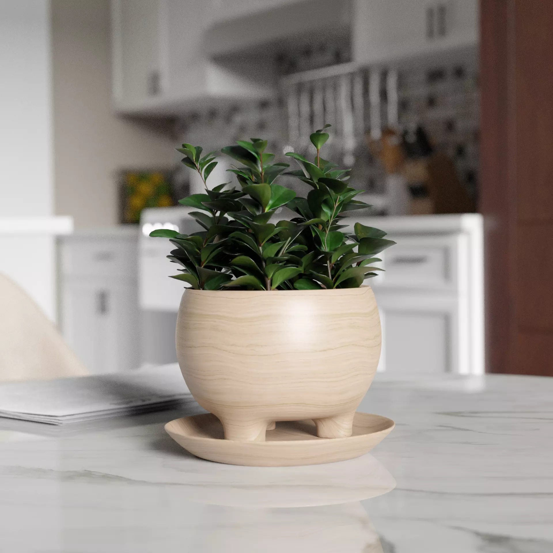 Small Potted Plant Free 3D model