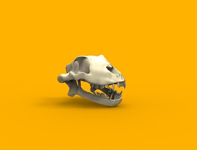 Lion head skull Low-poly 3D model