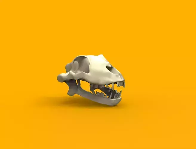 Lion head skull