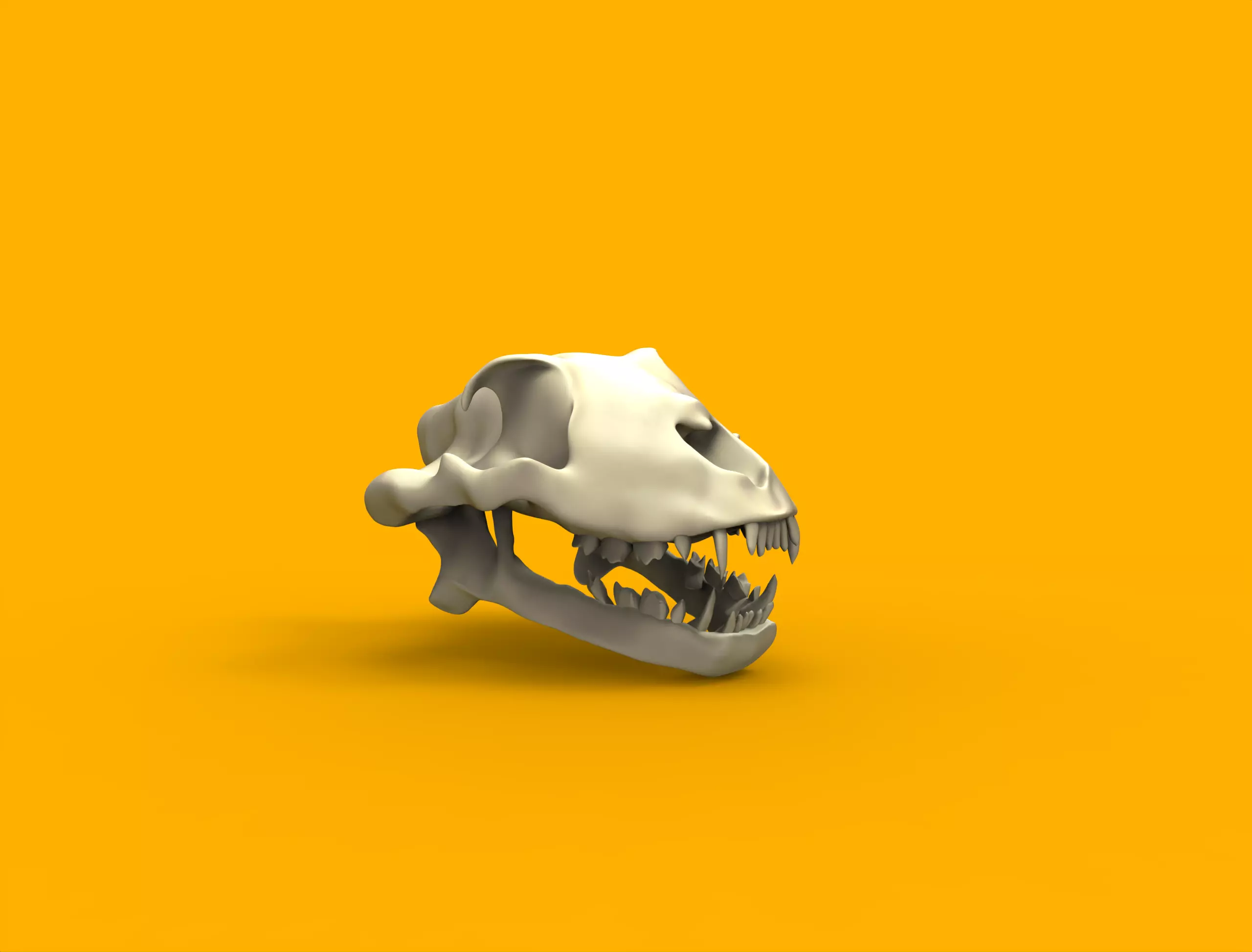 Lion head skull Low-poly 3D model_0