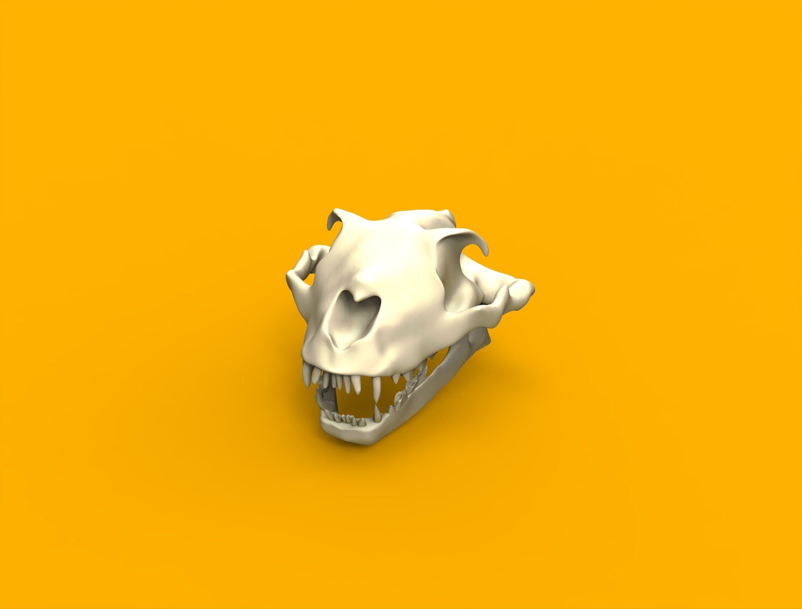 Lion head skull Low-poly 3D model_1
