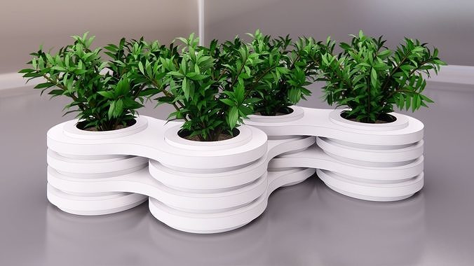 pot plant 3d model 3D model