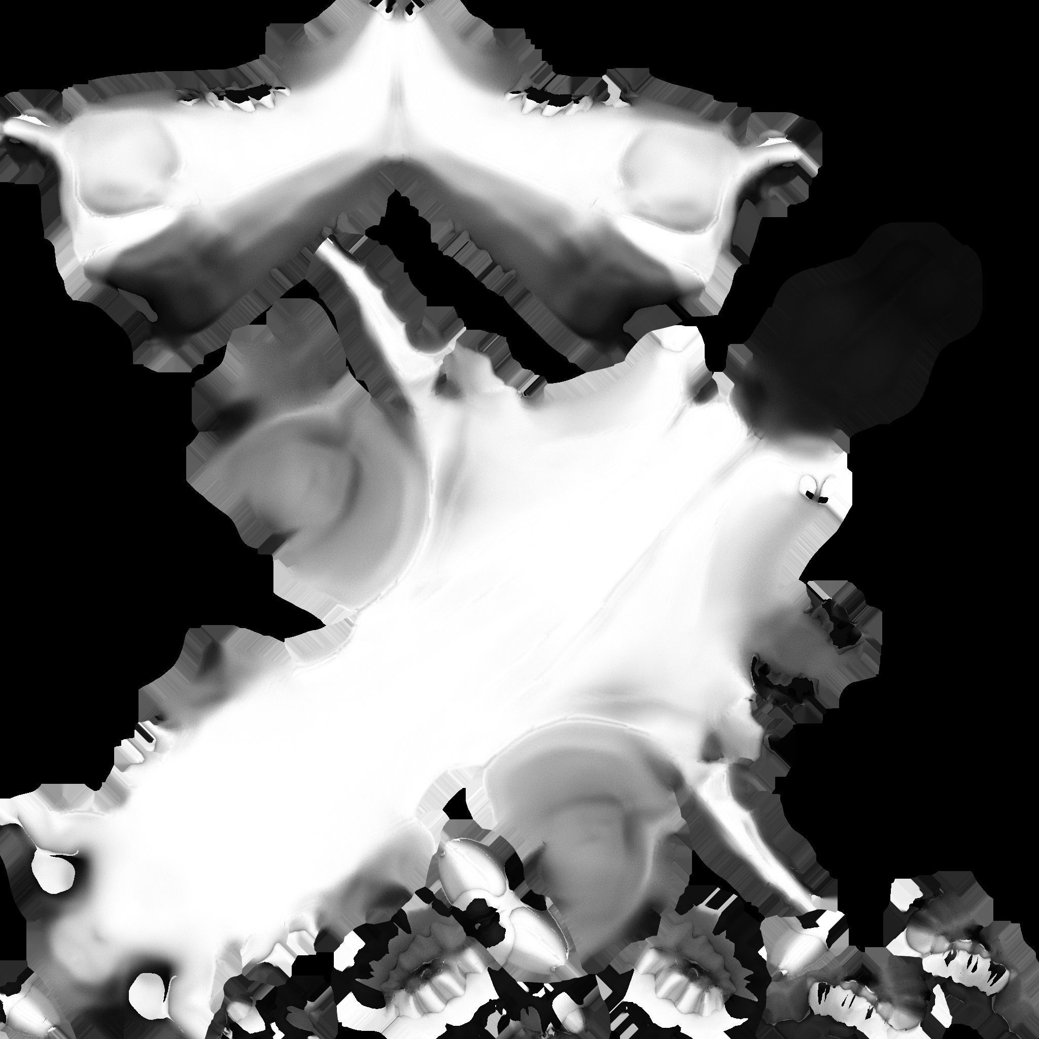 Rabbit Skull Low-poly 3D model_7