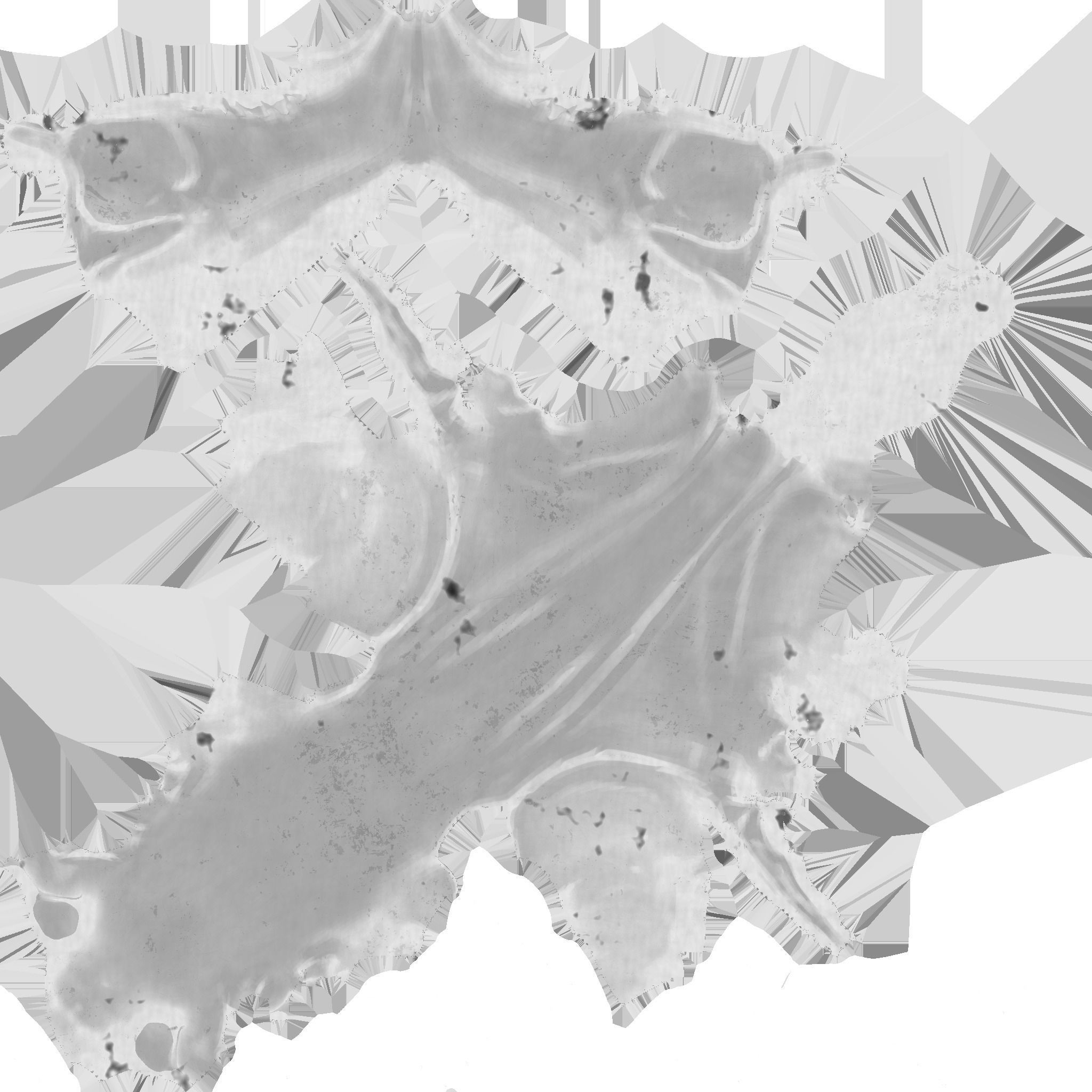 Rabbit Skull Low-poly 3D model_8