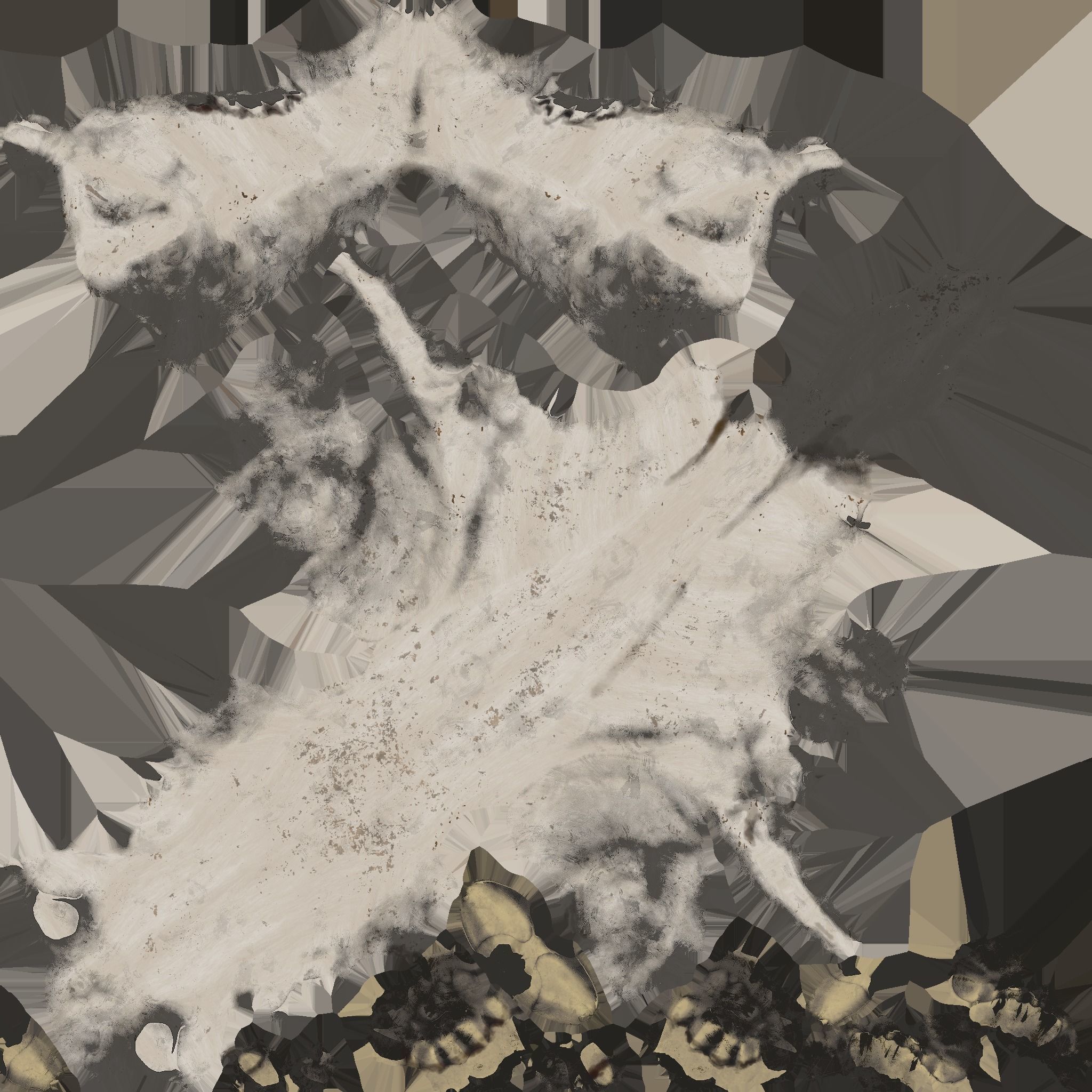 Rabbit Skull Low-poly 3D model_5