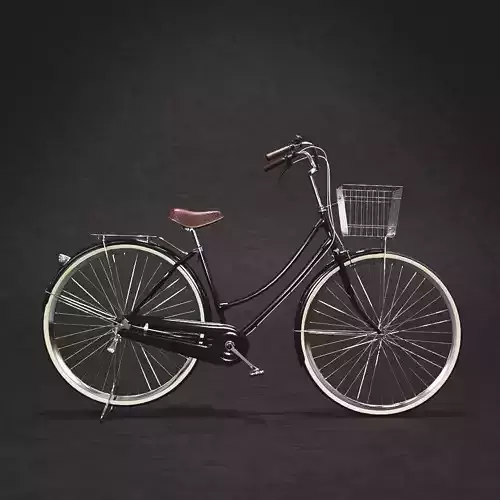 Vintage Bicycle 3D model