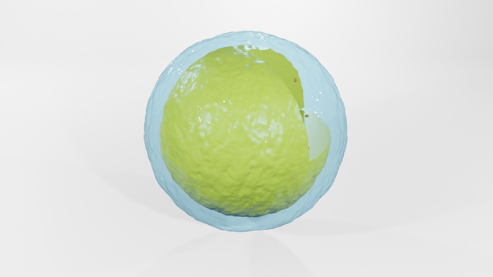 Lysosome egg 3D model_3