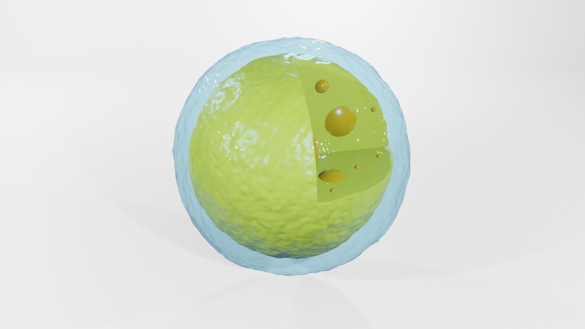 Lysosome egg 3D model_2