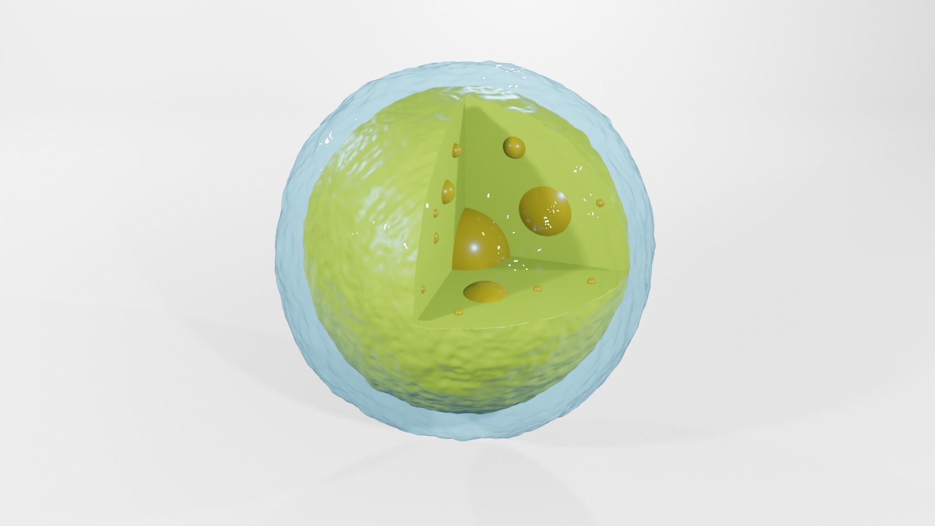 Lysosome egg 3D model_1