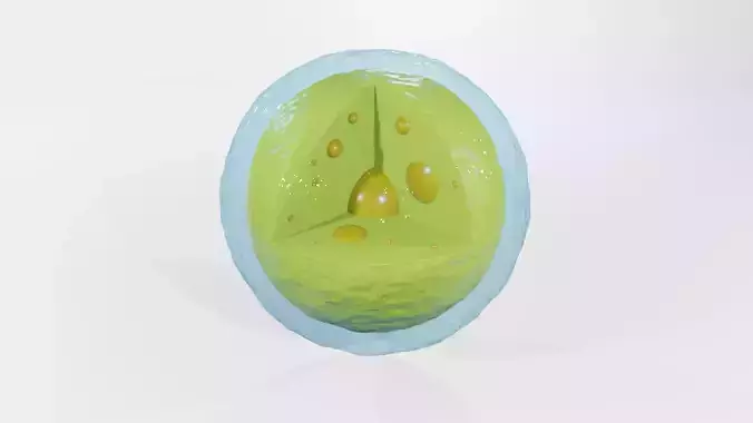 Lysosome egg 3D model