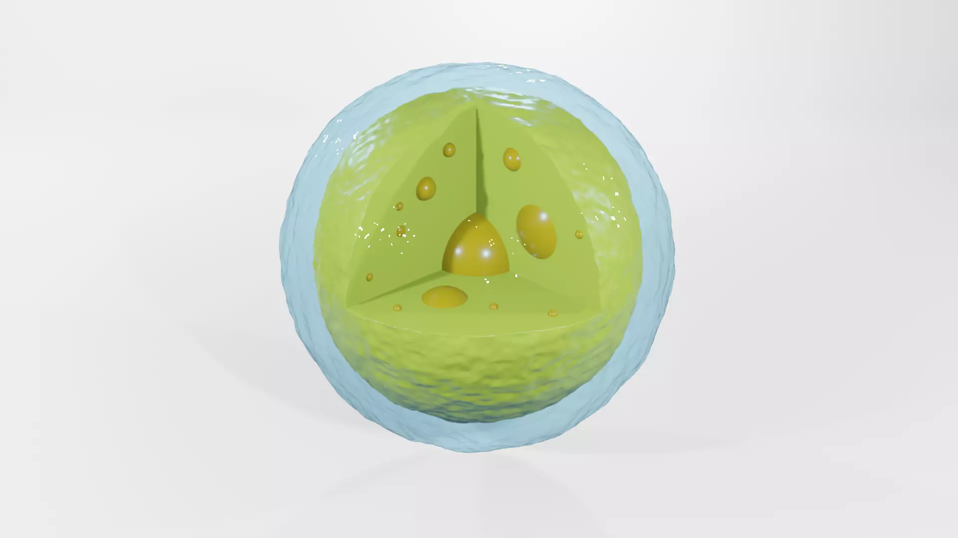 Lysosome egg 3D model_0