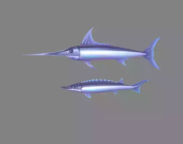 Cartoon fish - Xiphias gladius -marlin