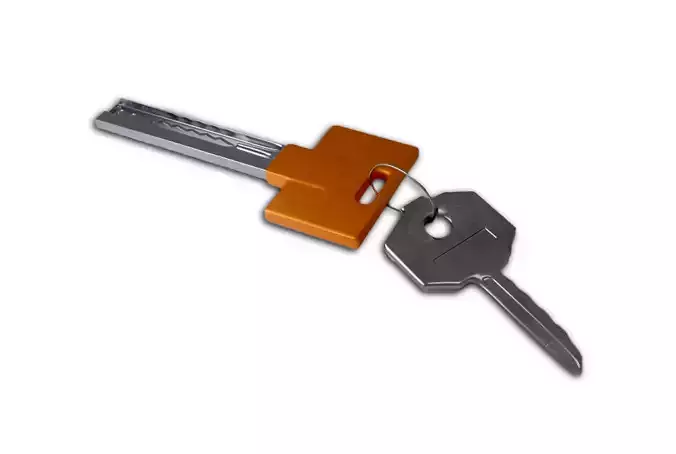 Home Keys With Key Chain