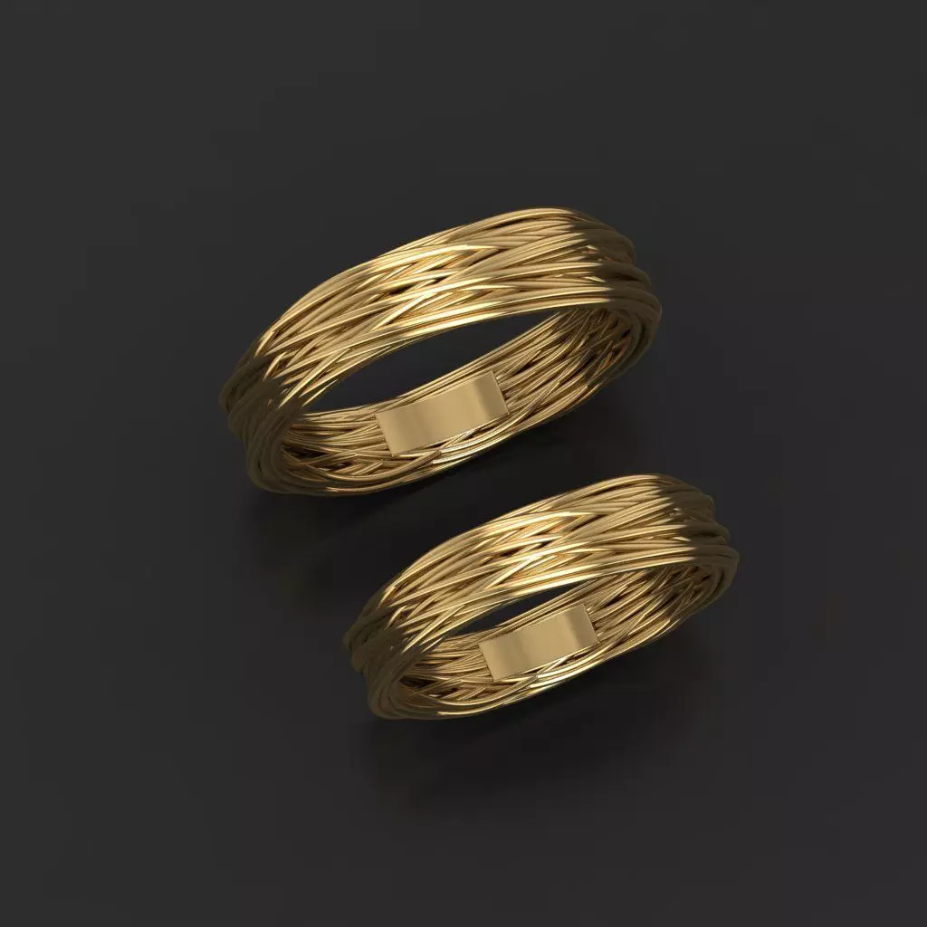 Wedding rings rope 3D print model
