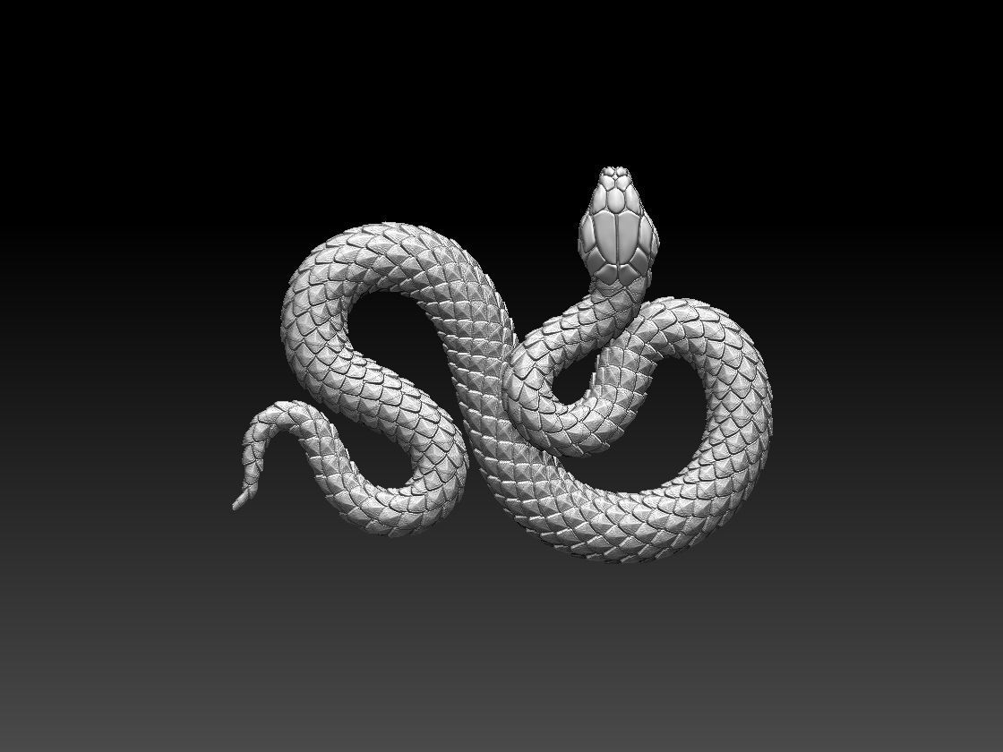 snake 3D print model_2