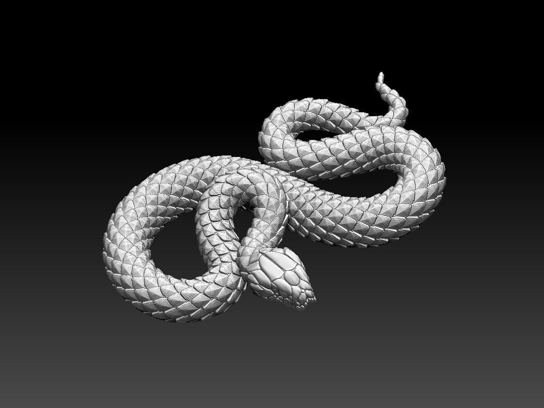 snake 3D print model_1