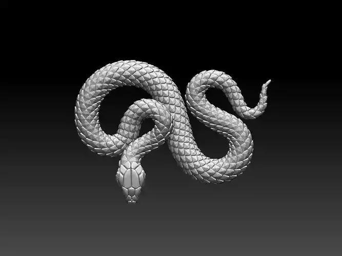snake 3D print model