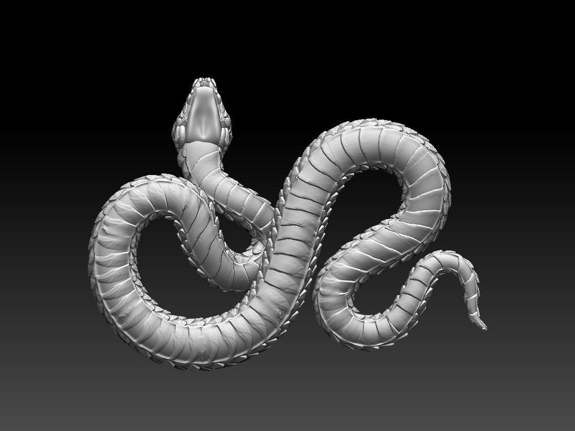 snake 3D print model_3