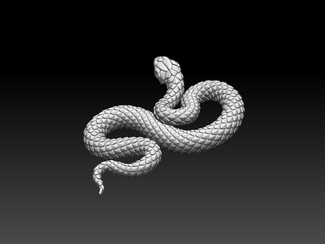 snake 3D print model_5